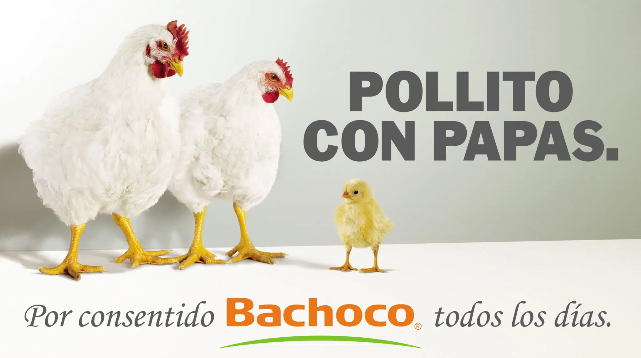 publicidad bachoco con papas