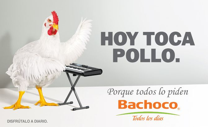publicidad bachoco